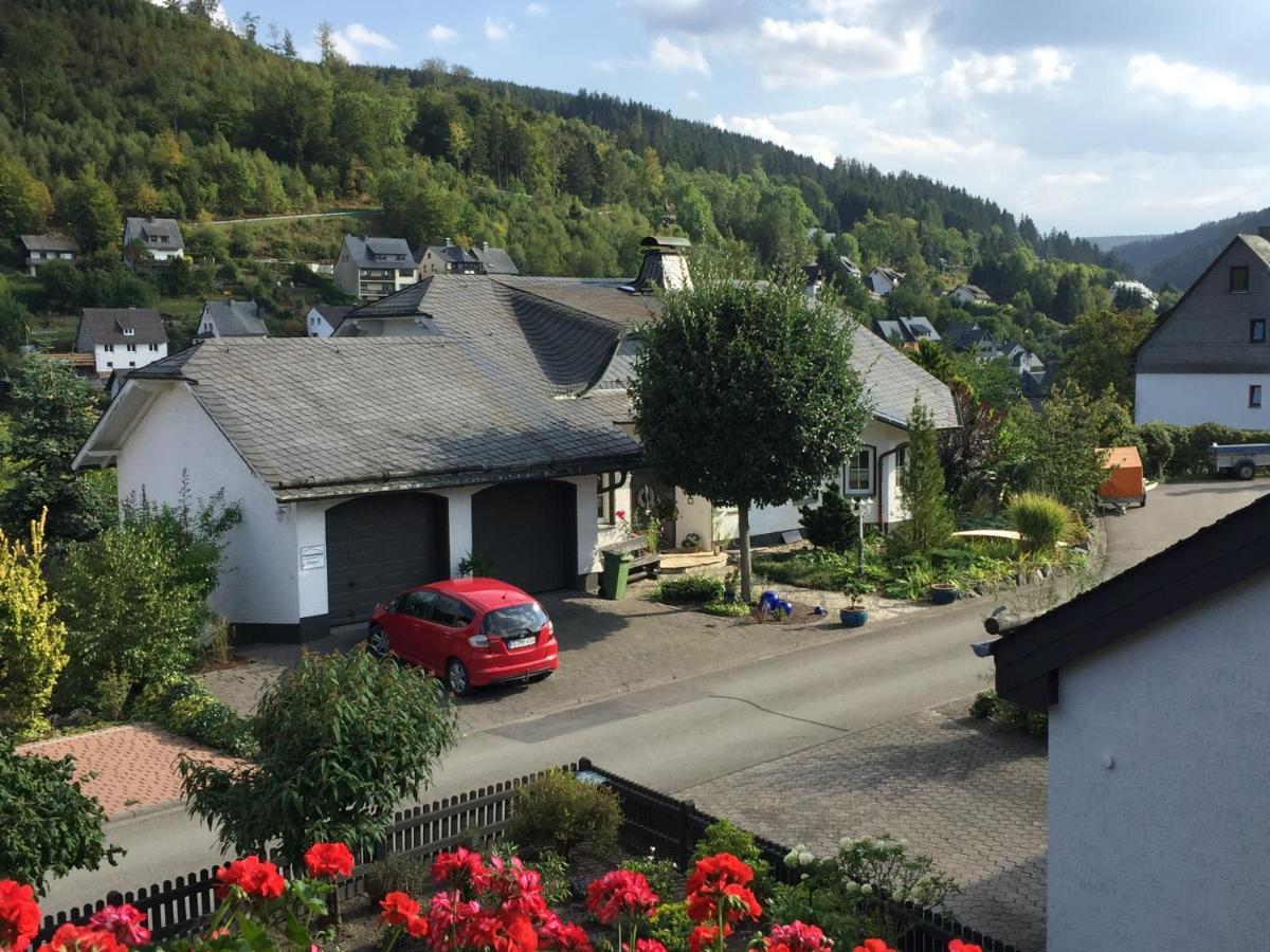 Fewo Jaeger Willingen  Exteriér fotografie
