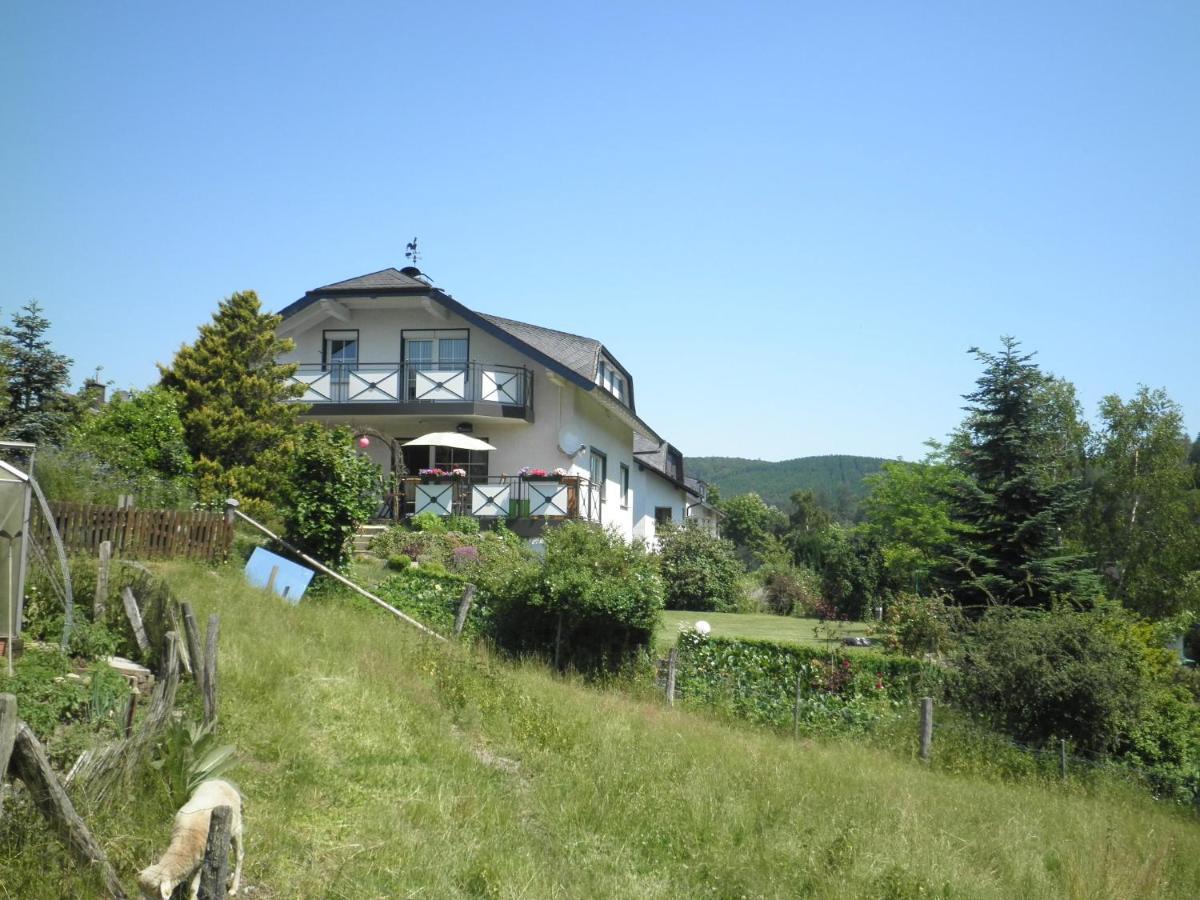 Fewo Jaeger Willingen  Exteriér fotografie