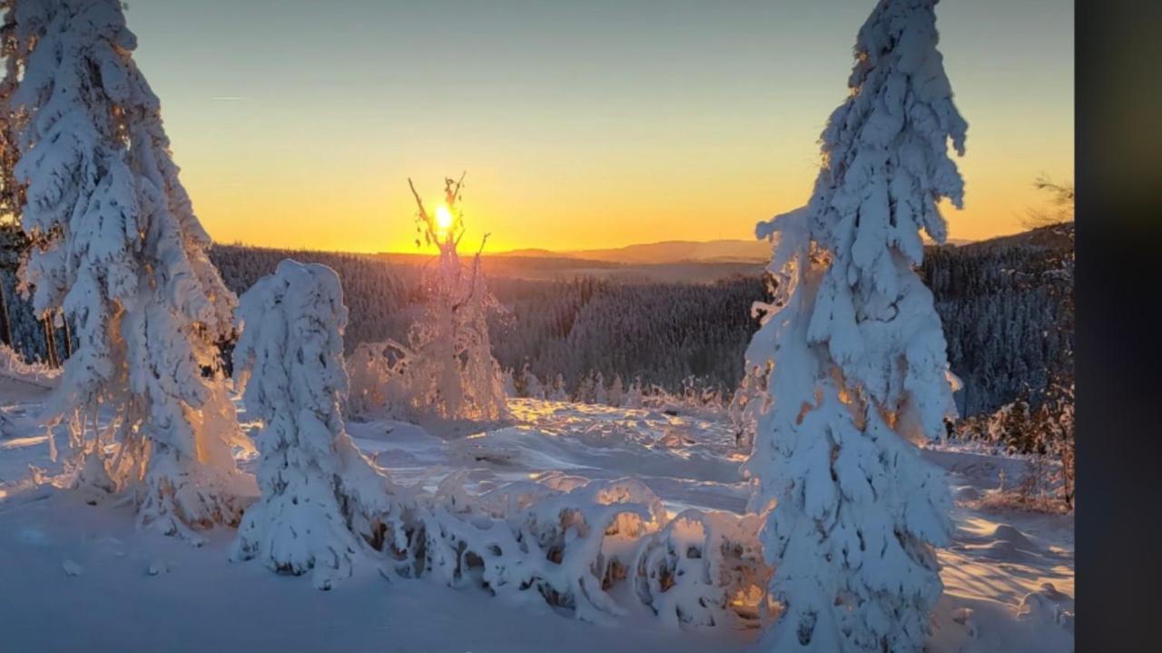 Fewo Jaeger Willingen  Exteriér fotografie