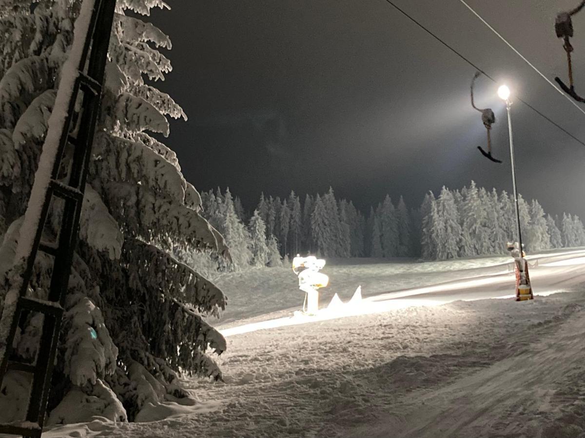 Fewo Jaeger Willingen  Exteriér fotografie