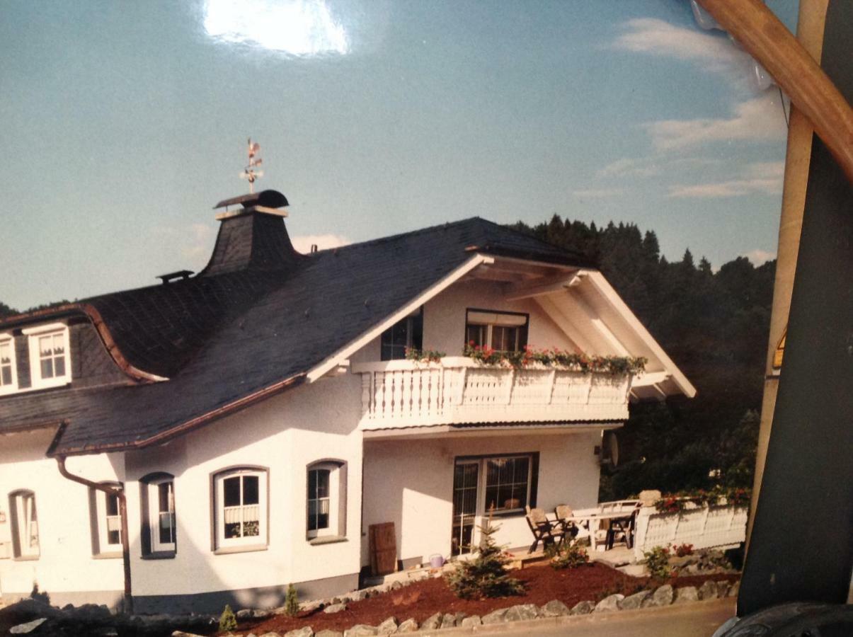 Fewo Jaeger Willingen  Exteriér fotografie